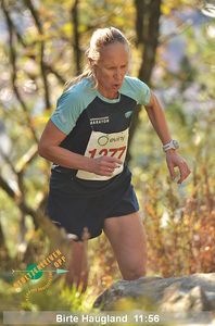 94767_2025_2.jpg